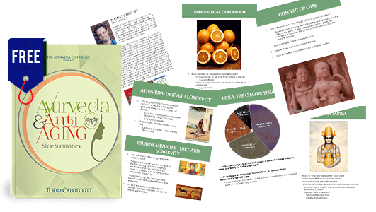 Ayurveda & Anti-Aging - DVD Set Experience Ayurveda 