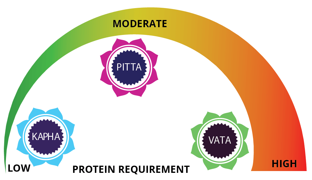 Ayurveda & The Paleo Diet - Digital Educational Course Experience Ayurveda 