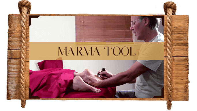 The Kansa Course - Platinum Educational Course Experience Ayurveda 