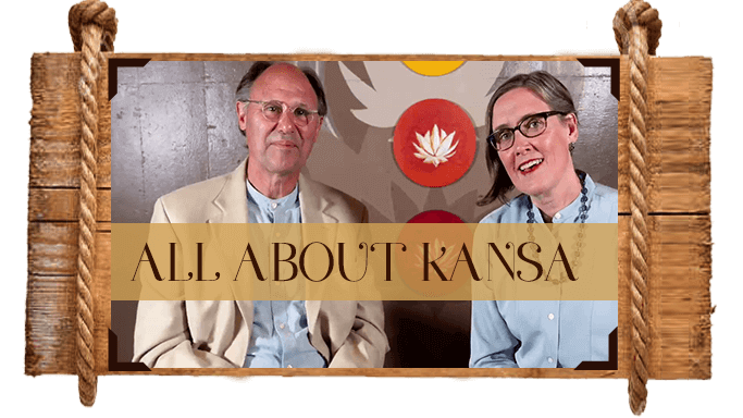 The Kansa Course Educational Videos The Ayurveda Experience 